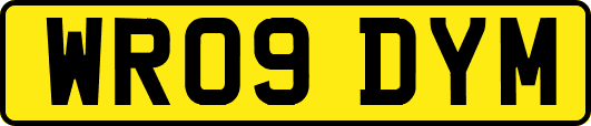 WR09DYM