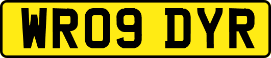 WR09DYR