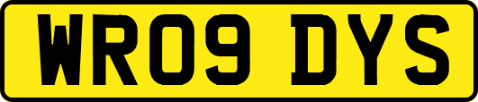 WR09DYS