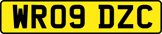 WR09DZC