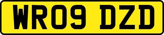 WR09DZD