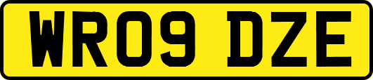 WR09DZE