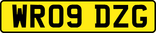 WR09DZG