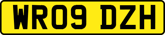 WR09DZH