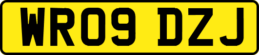 WR09DZJ