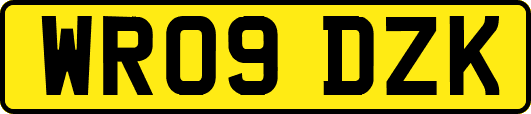 WR09DZK