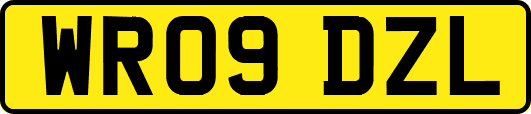 WR09DZL