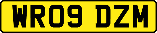 WR09DZM