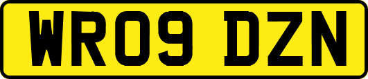 WR09DZN