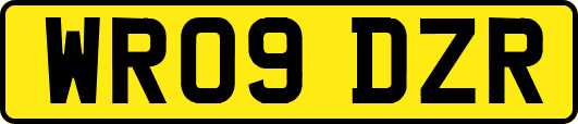 WR09DZR