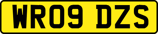 WR09DZS