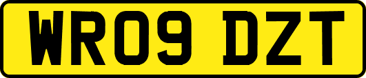 WR09DZT
