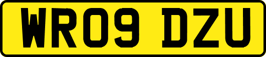 WR09DZU