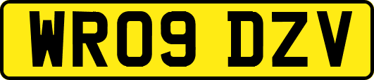 WR09DZV