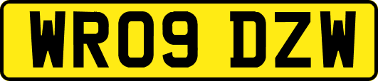 WR09DZW