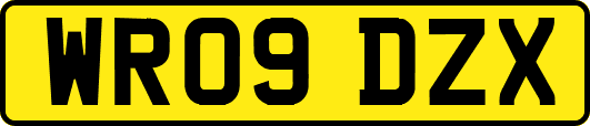 WR09DZX