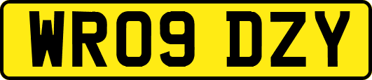WR09DZY