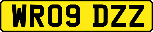 WR09DZZ