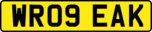 WR09EAK