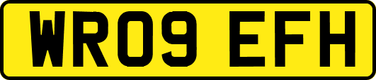 WR09EFH