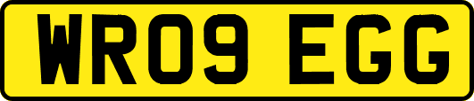 WR09EGG
