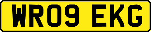 WR09EKG