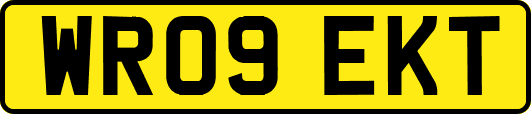 WR09EKT