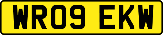 WR09EKW