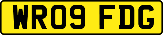 WR09FDG