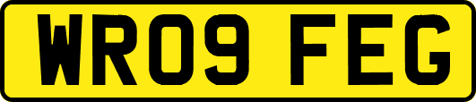 WR09FEG
