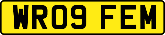 WR09FEM
