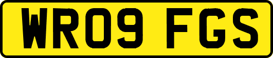 WR09FGS