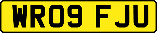 WR09FJU