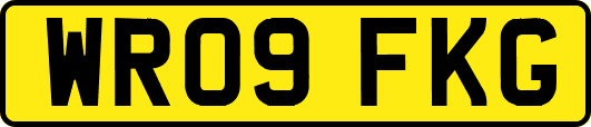 WR09FKG