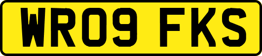 WR09FKS
