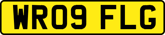 WR09FLG