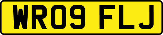 WR09FLJ