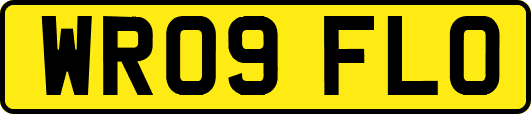 WR09FLO