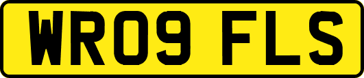 WR09FLS