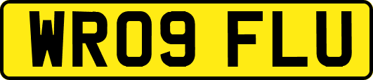 WR09FLU
