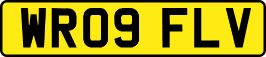 WR09FLV