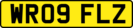 WR09FLZ