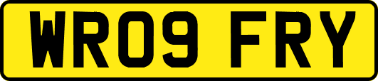WR09FRY