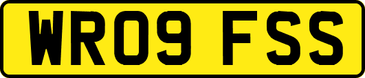 WR09FSS
