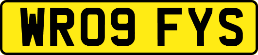 WR09FYS