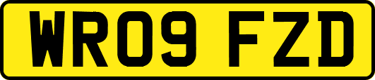 WR09FZD