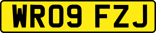 WR09FZJ