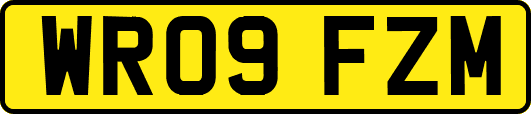 WR09FZM