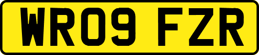 WR09FZR