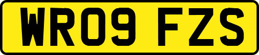WR09FZS